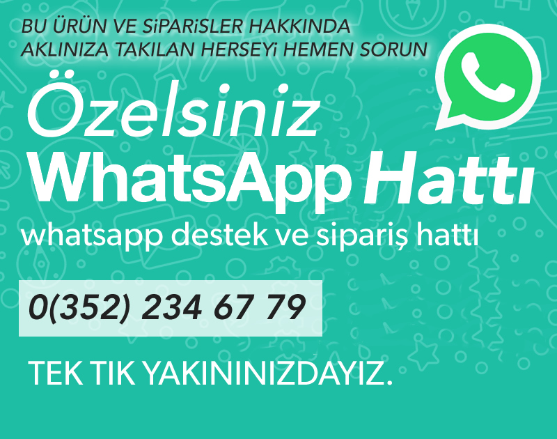 VİNOLA 30 CM 2 GÖZLÜ INOX YUZEY ANKASTRE OCAK 3610-01